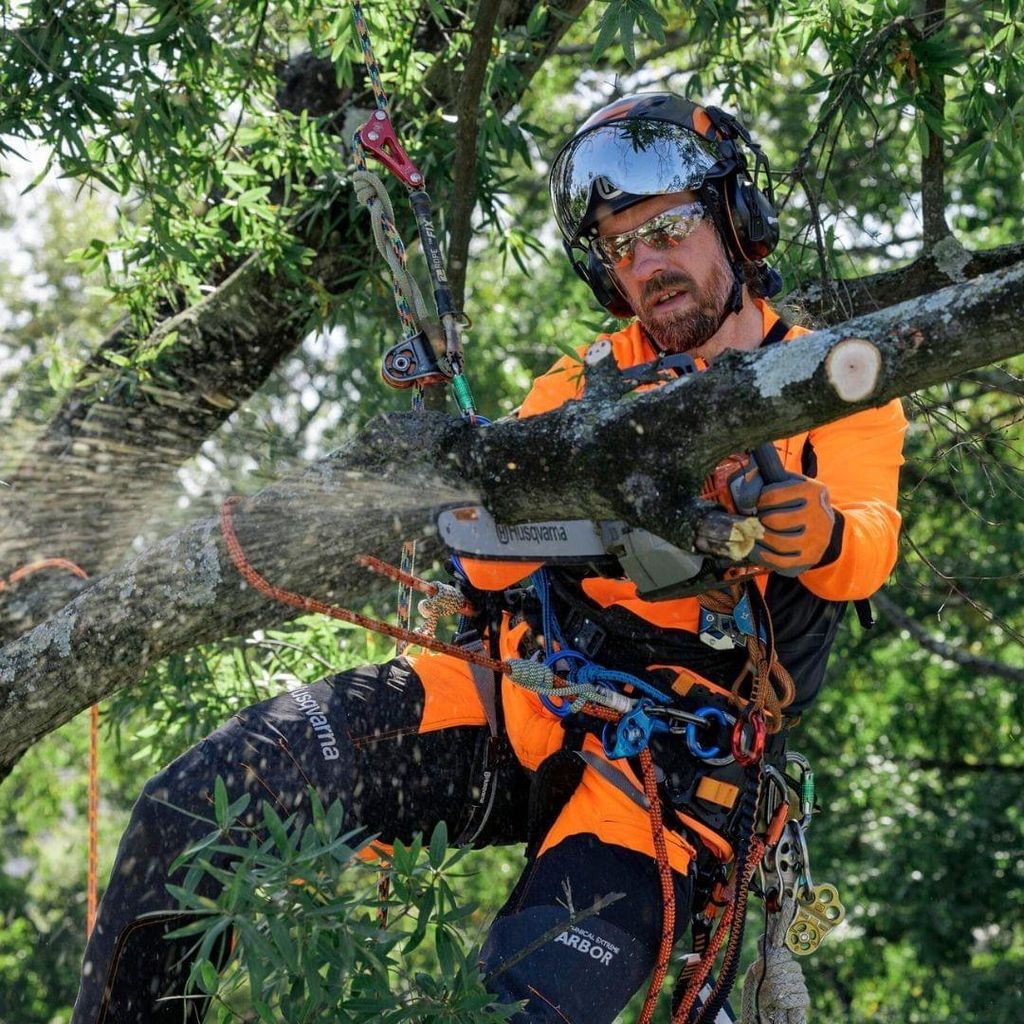 FC Tree Service LLC,