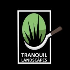 Avatar for Tranquil Landscapes
