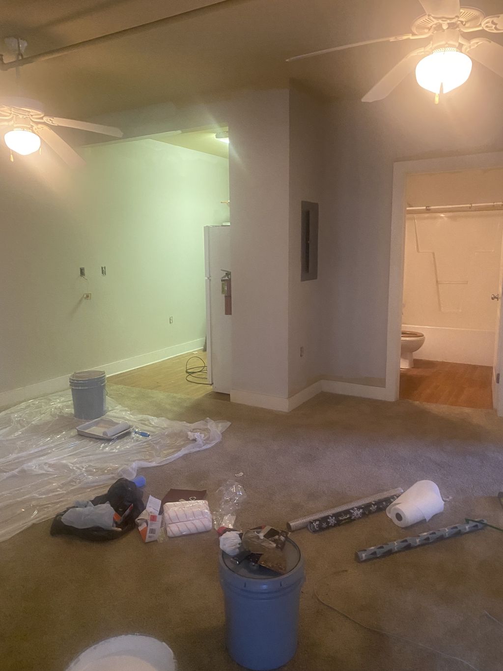Projects and media