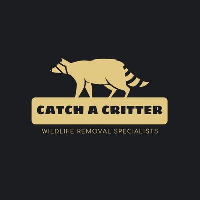 Avatar for Catch a Critter, LLC