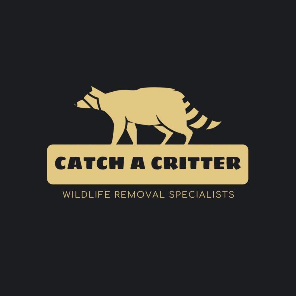 Catch a Critter, LLC