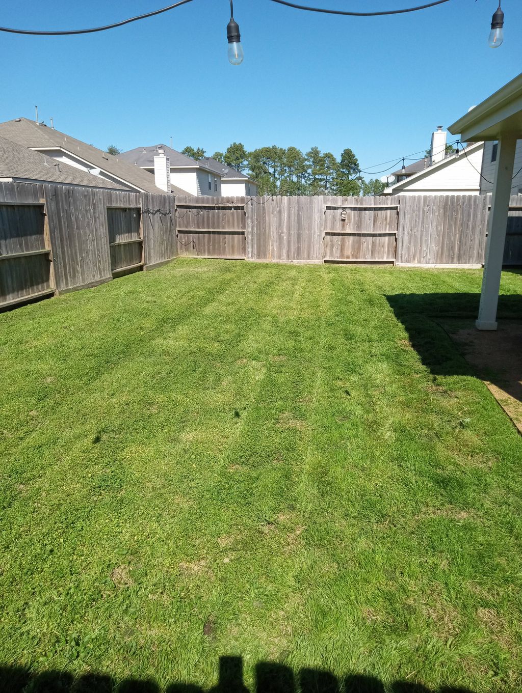 back yard