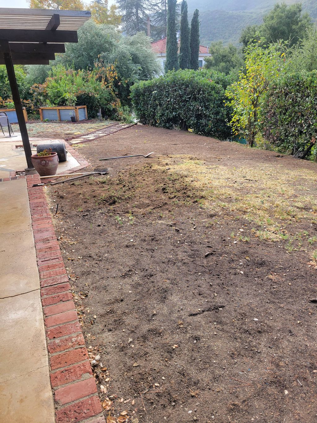 removing the existing grass 