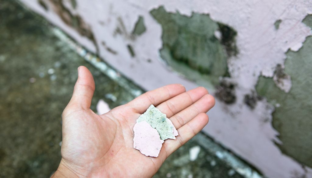 hand holding chipped paint from mold water damage siding