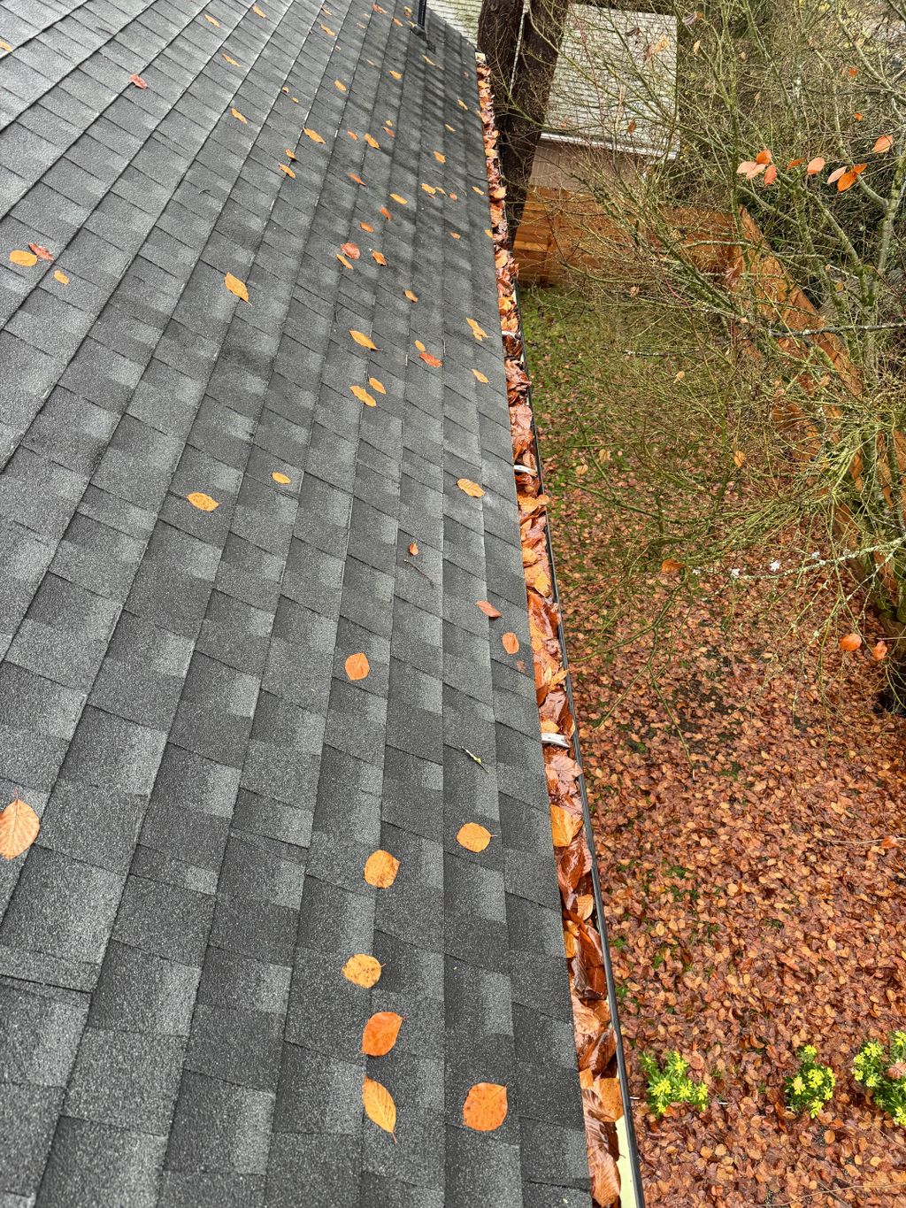 Gutter Cleaning and Maintenance