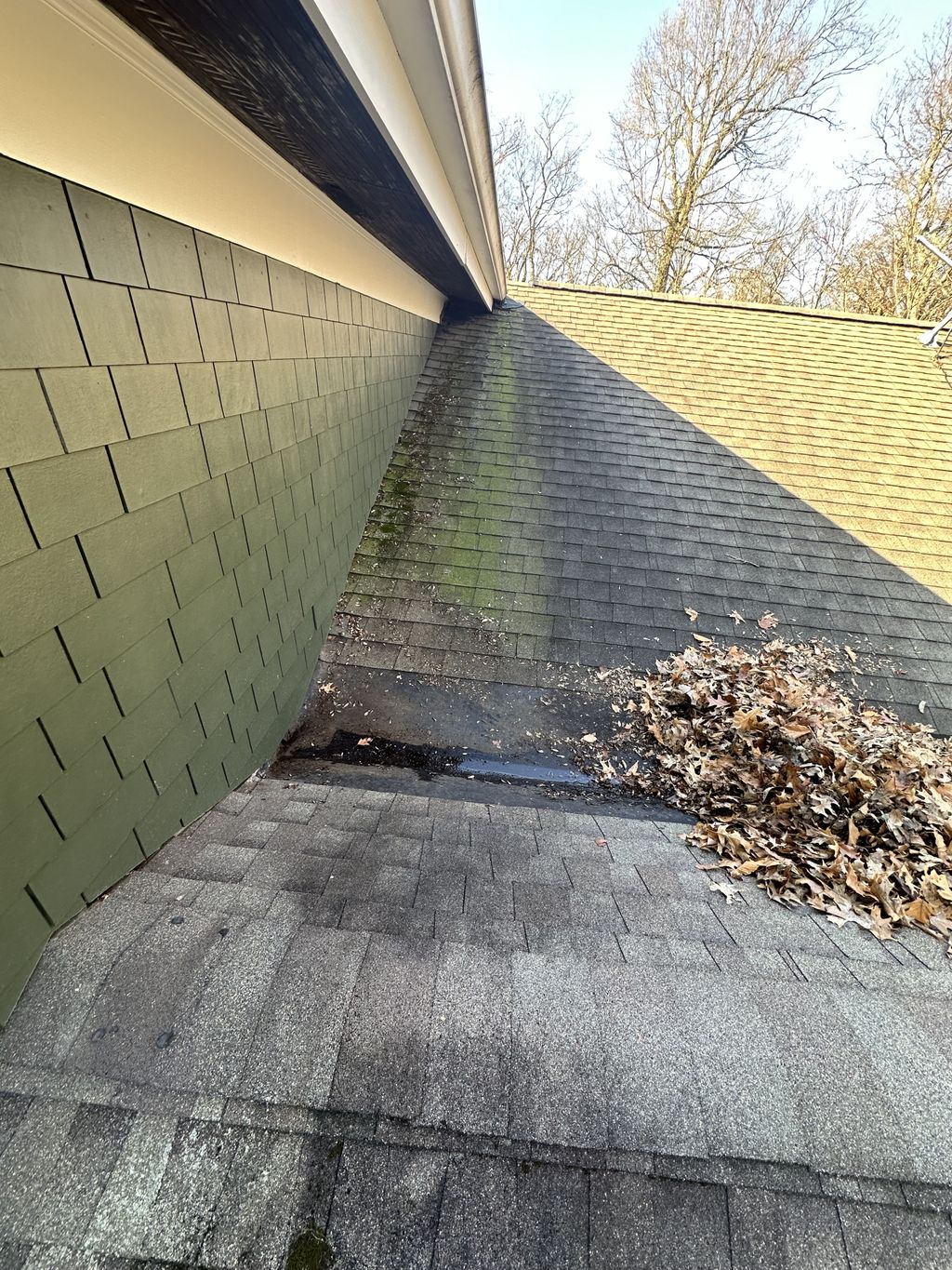 Roof Repair or Maintenance