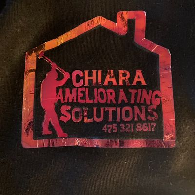 Avatar for Chiara Ameliorating Solutions