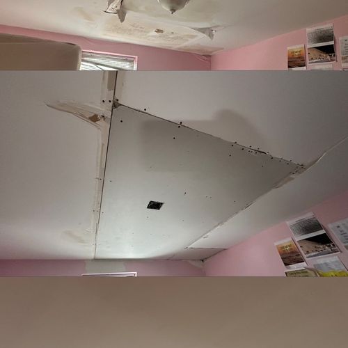 Ceiling repair after a flood 