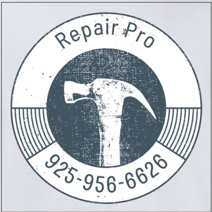 Repair Pro