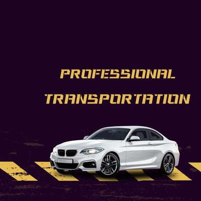 Avatar for Professional transportation