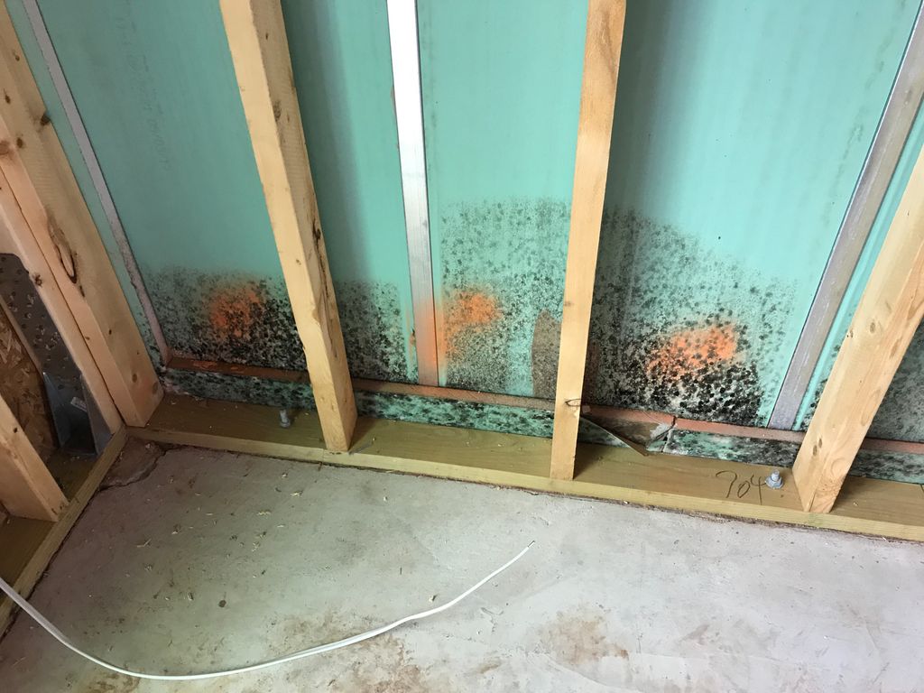 New Construction Mold