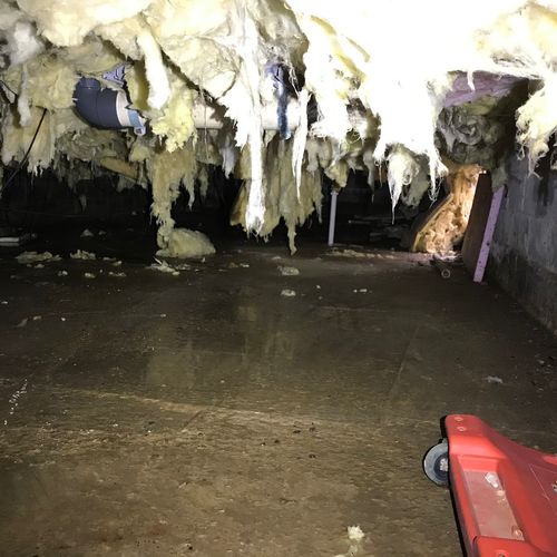 Not a great Crawl Space