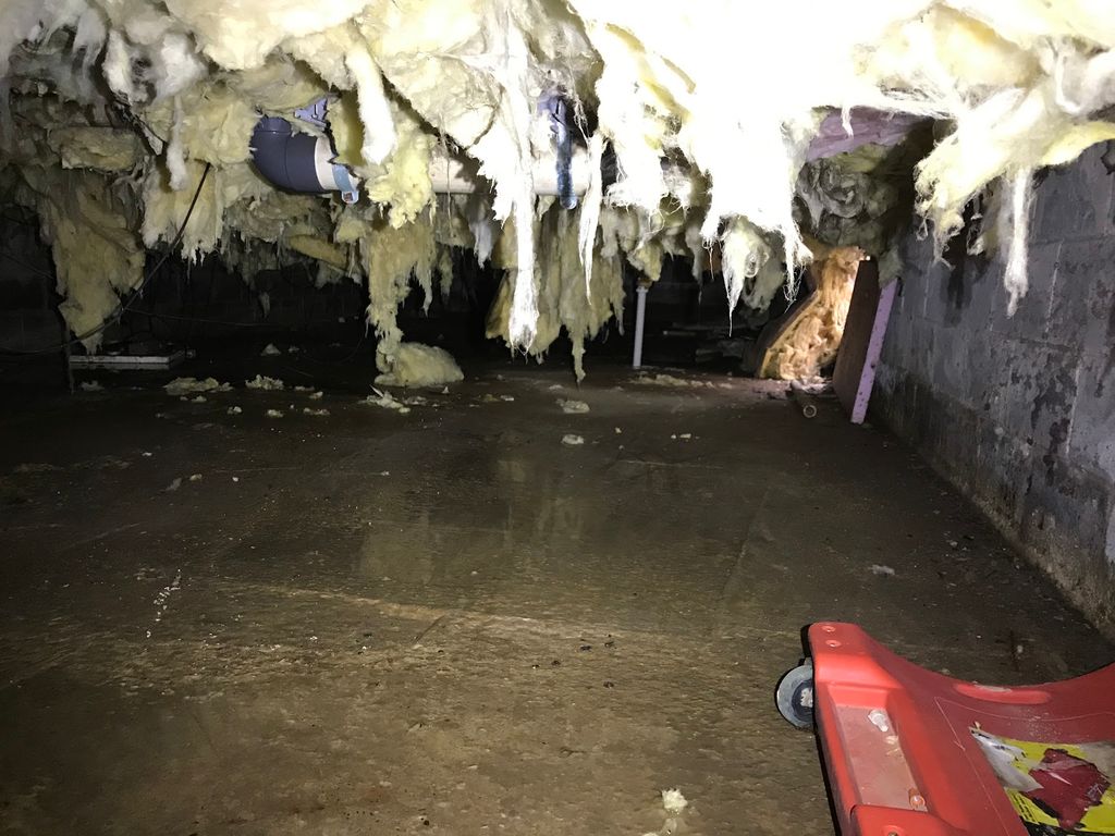Not a great Crawl Space