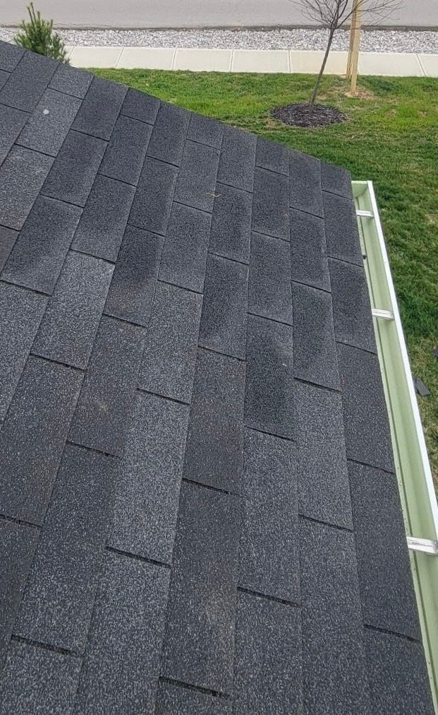 Gutter Cleaning and Maintenance