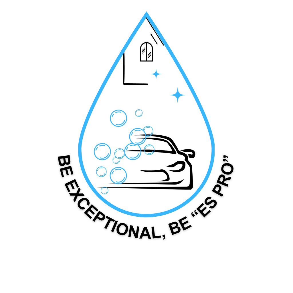 Es Pro Services LLC