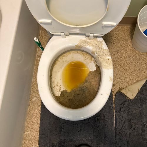before toilet cleaning