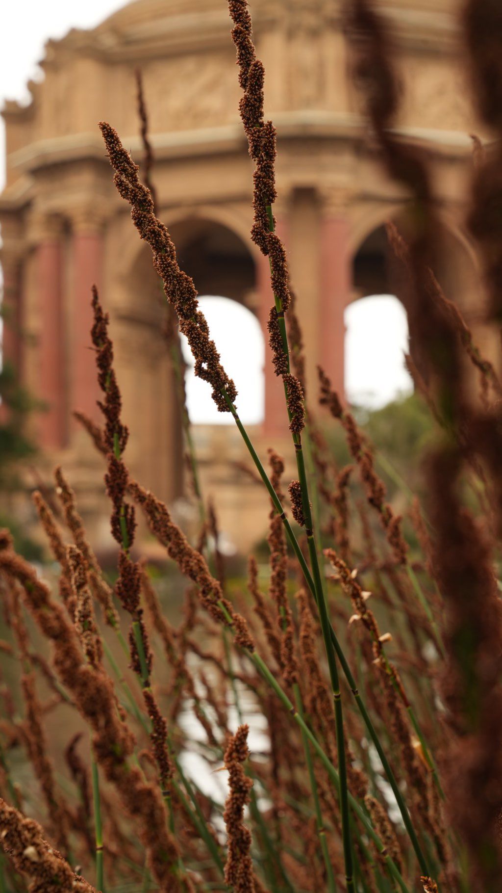 (Palace of Fine Arts) shot on sony 24-70 GM