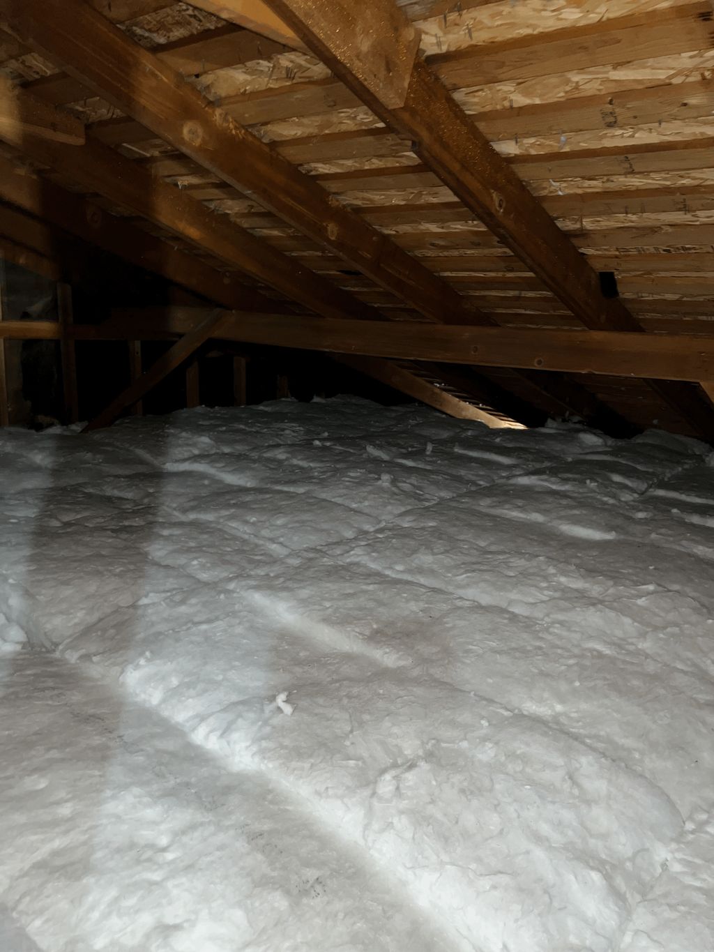 New Attic Insulation installed