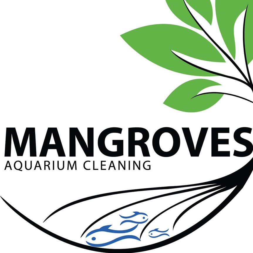Mangroves Aquarium Cleaning