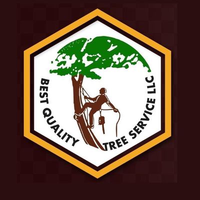 Avatar for Best quality tree service