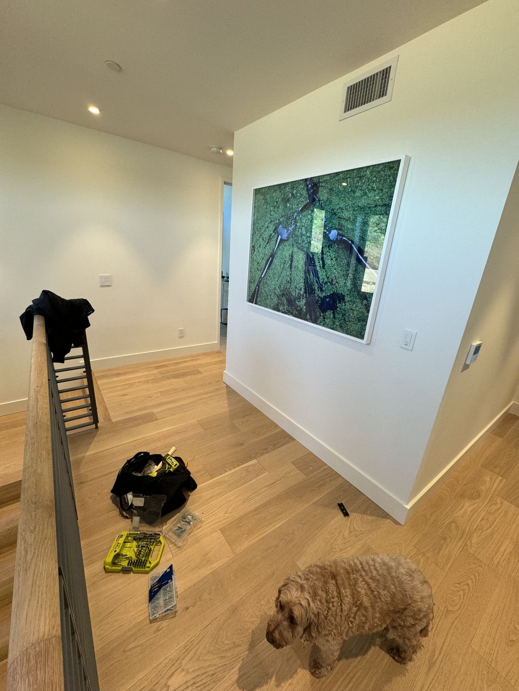 Projects and media