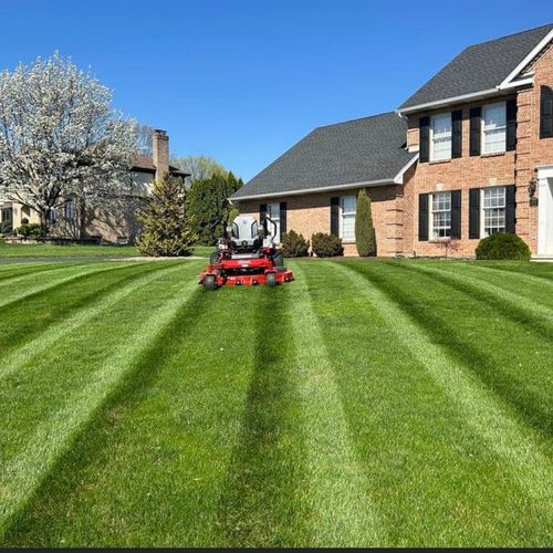 Big Country Lawn Care