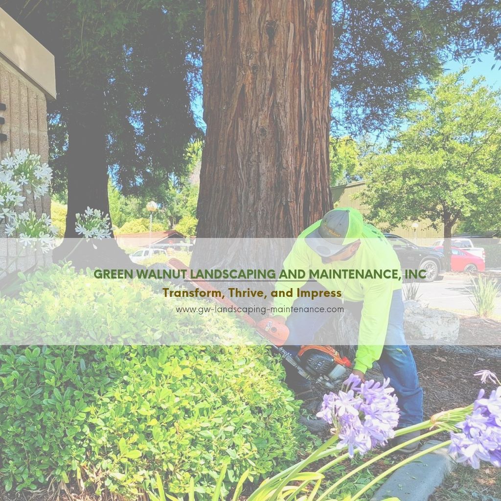 Green Walnut Landscaping and Maintenaince, Inc