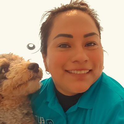 Avatar for the magic cleaners