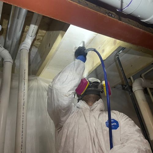 Basement mold remediation 