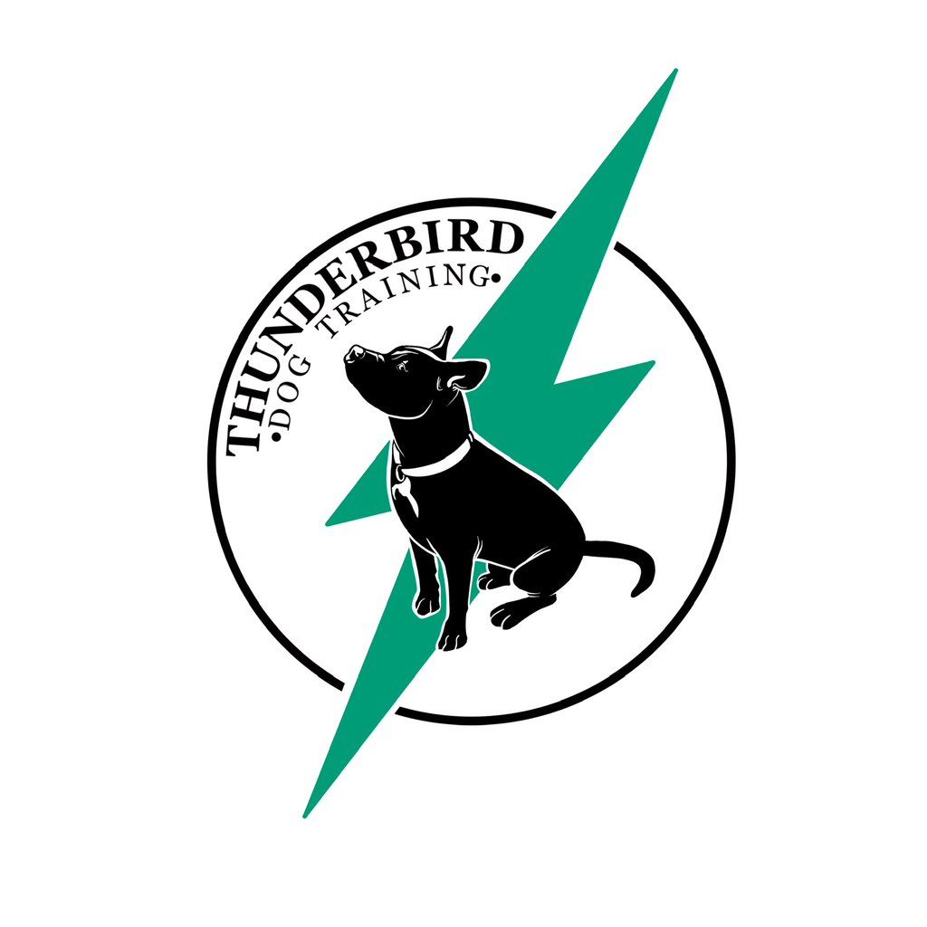 Thunderbird Dog Training
