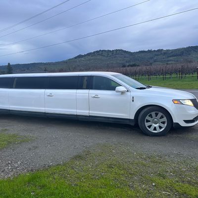 Avatar for Elegant Limousine and Charter