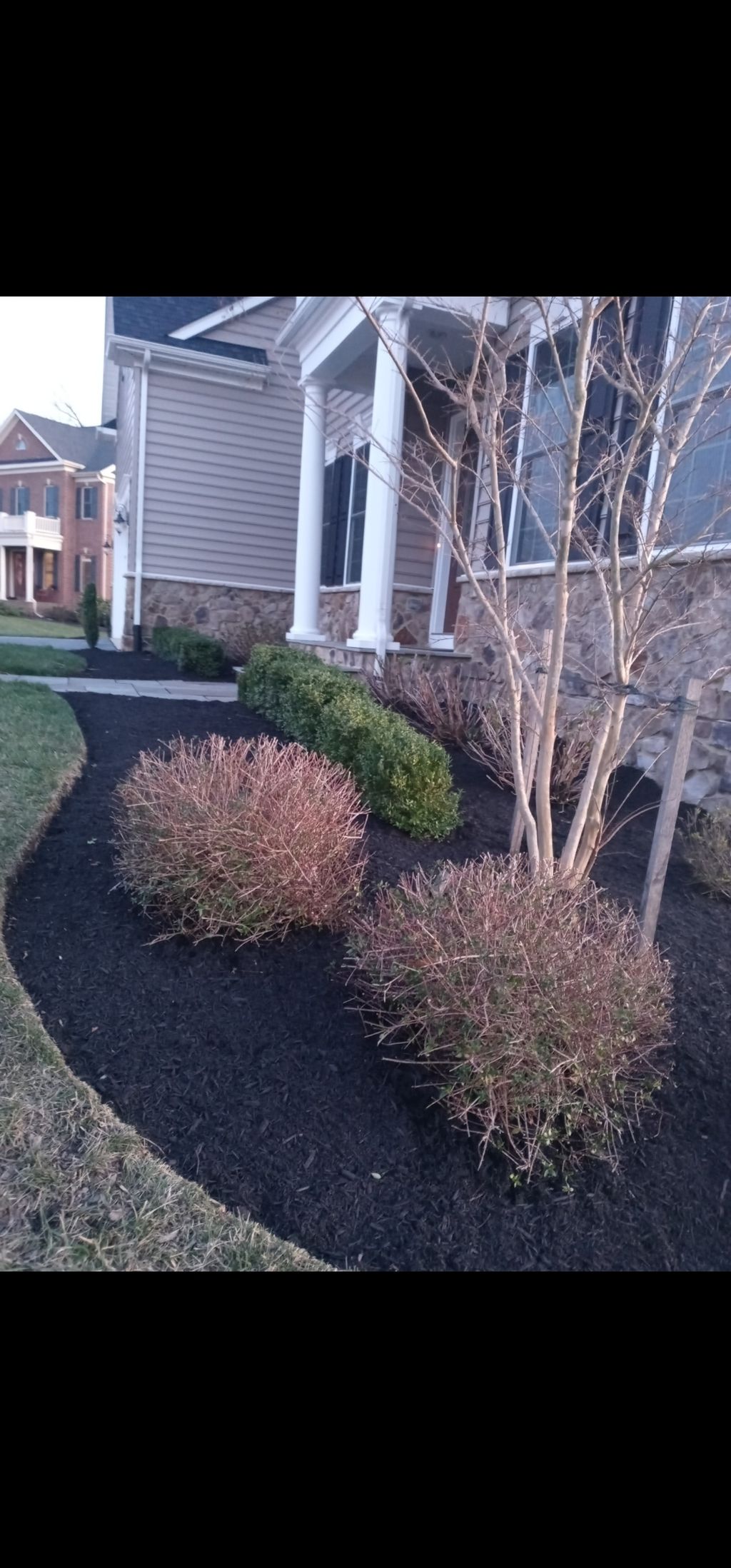#mulch and trimmed 