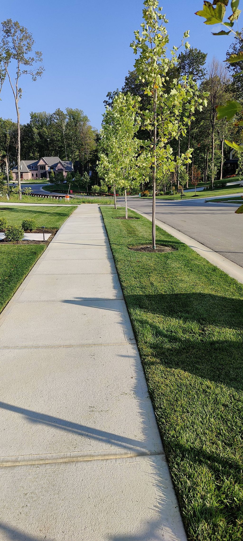 good maintenance with a perfect edge 