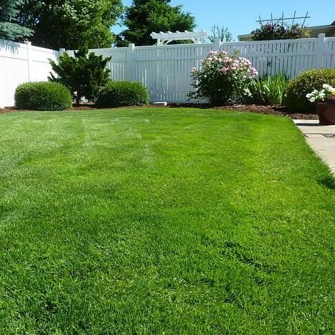 All You Need Lawn Care