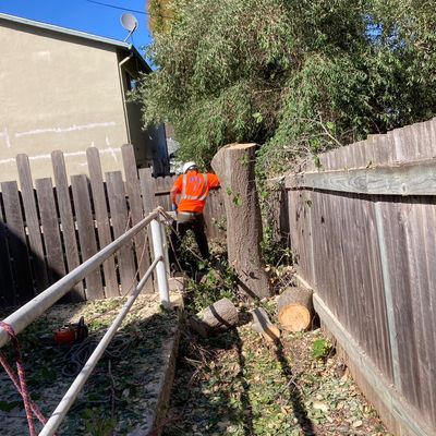 Avatar for Clean Landscaping Bay Area