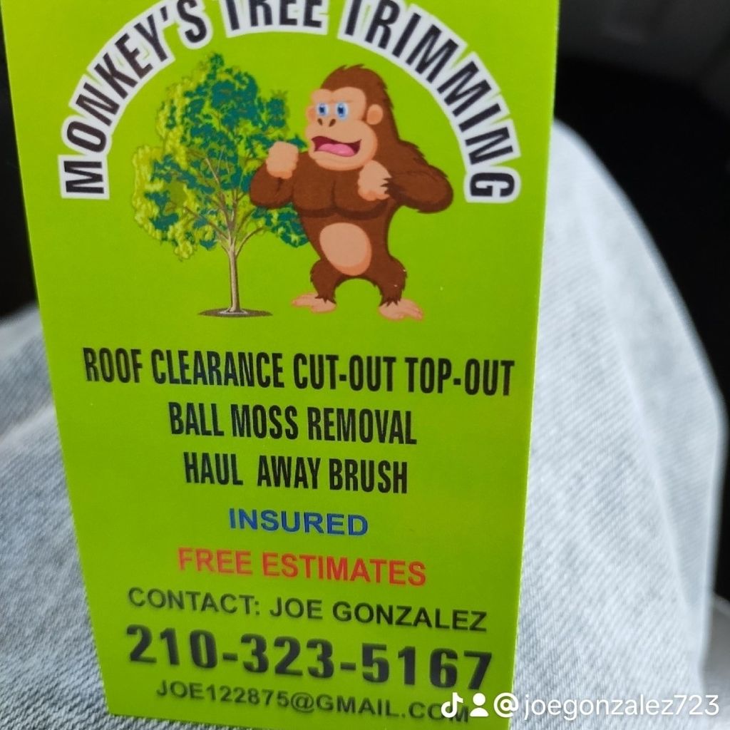 monkeys tree trimming