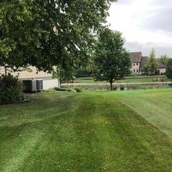 100% extreme Lawn care