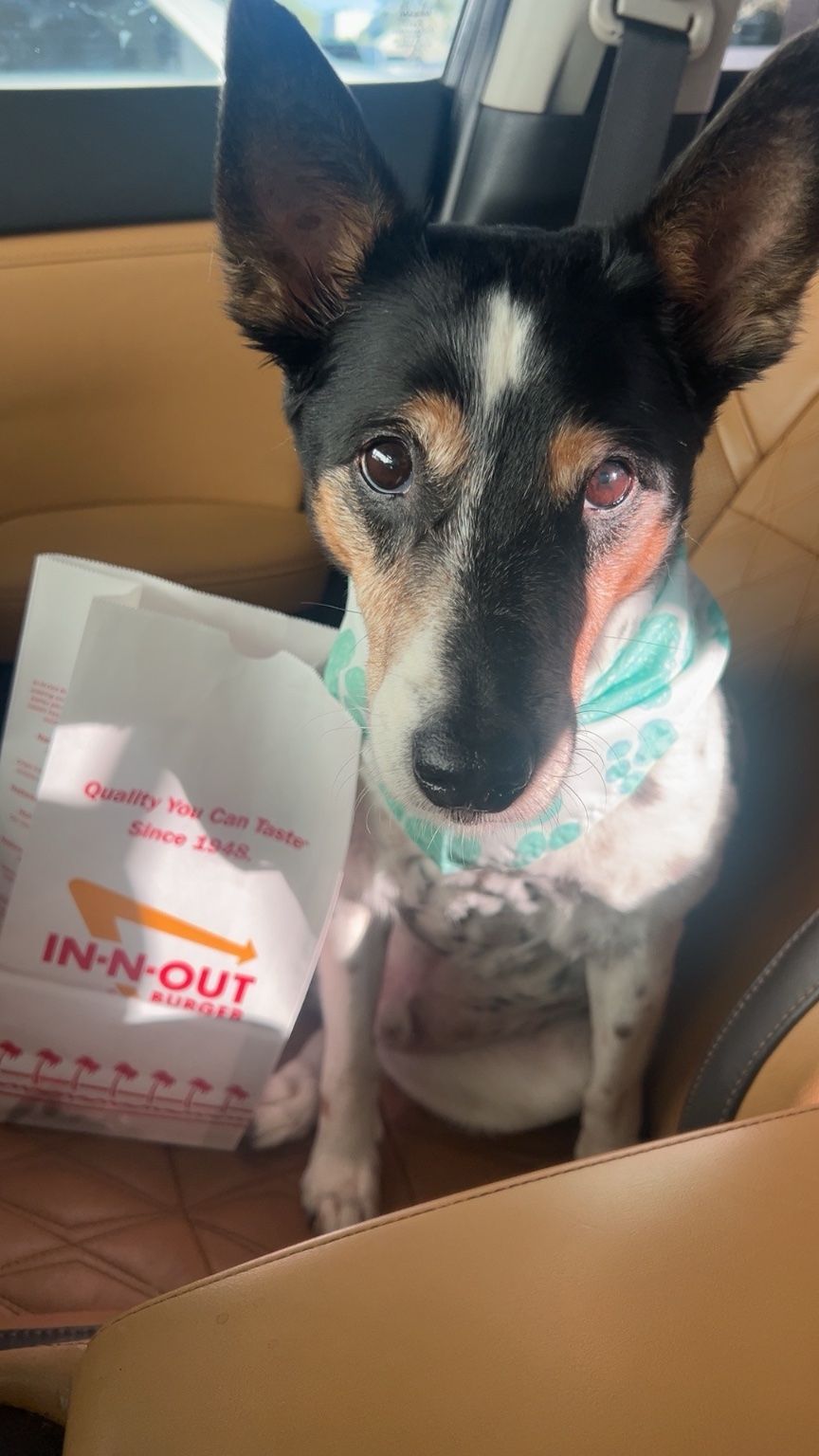 Customer photos