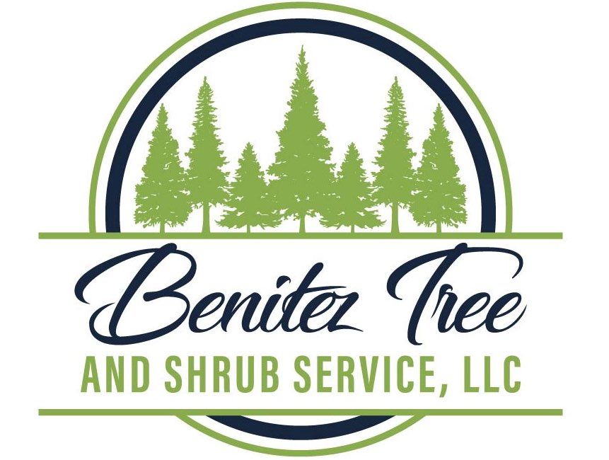Benitez Tree and Shrub Service LLC