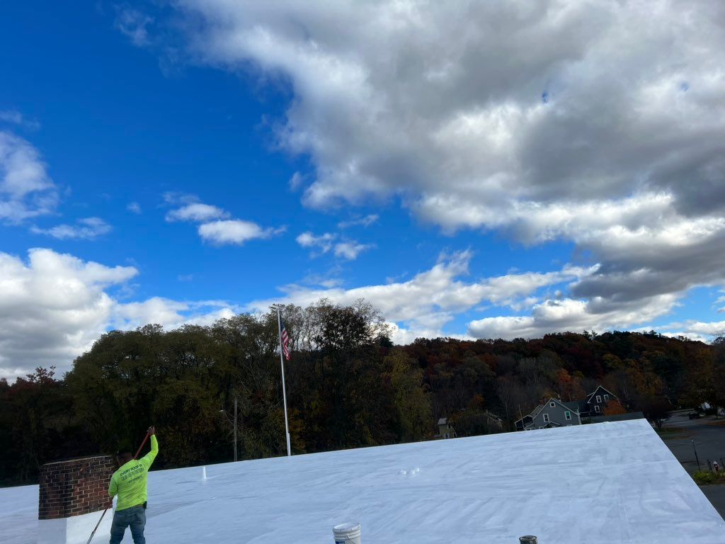 Flat Rubber Roof Restoration 