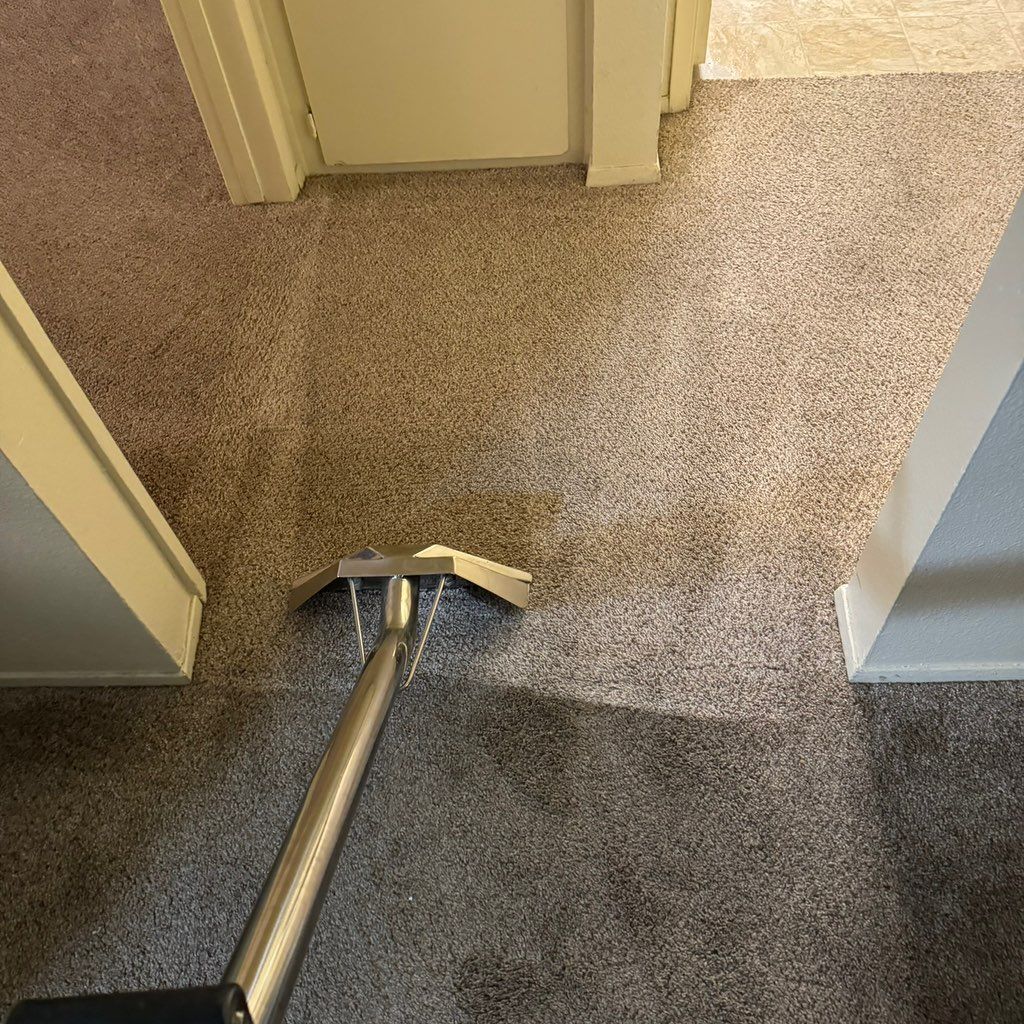 Royalty green cleaning