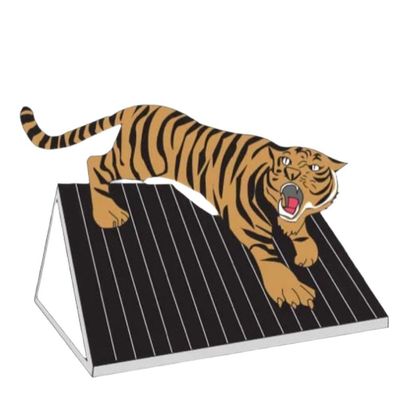 Avatar for Tiger Roof