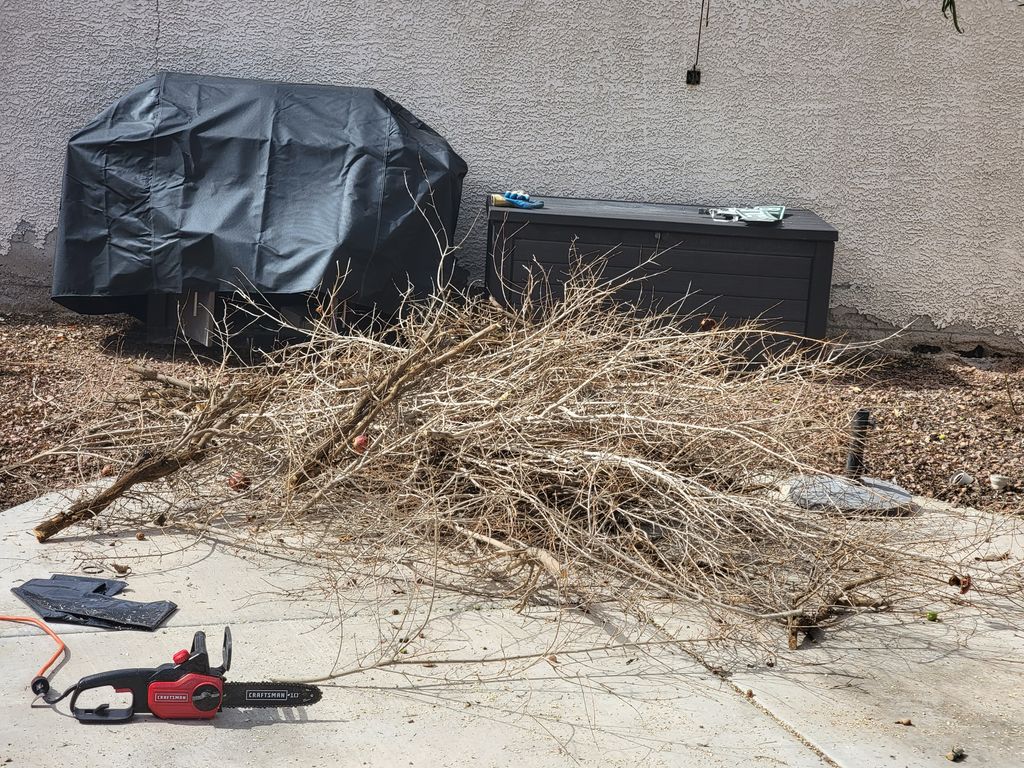 Trash clean up and disposal is a must need when we
