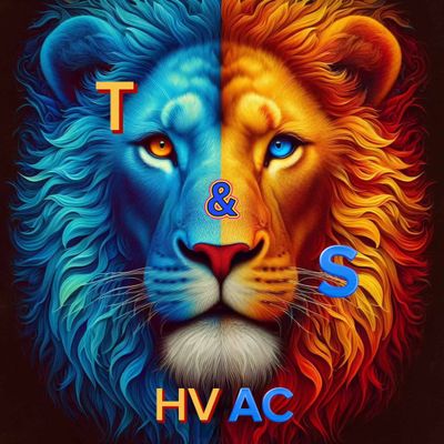 Avatar for T&S HVAC