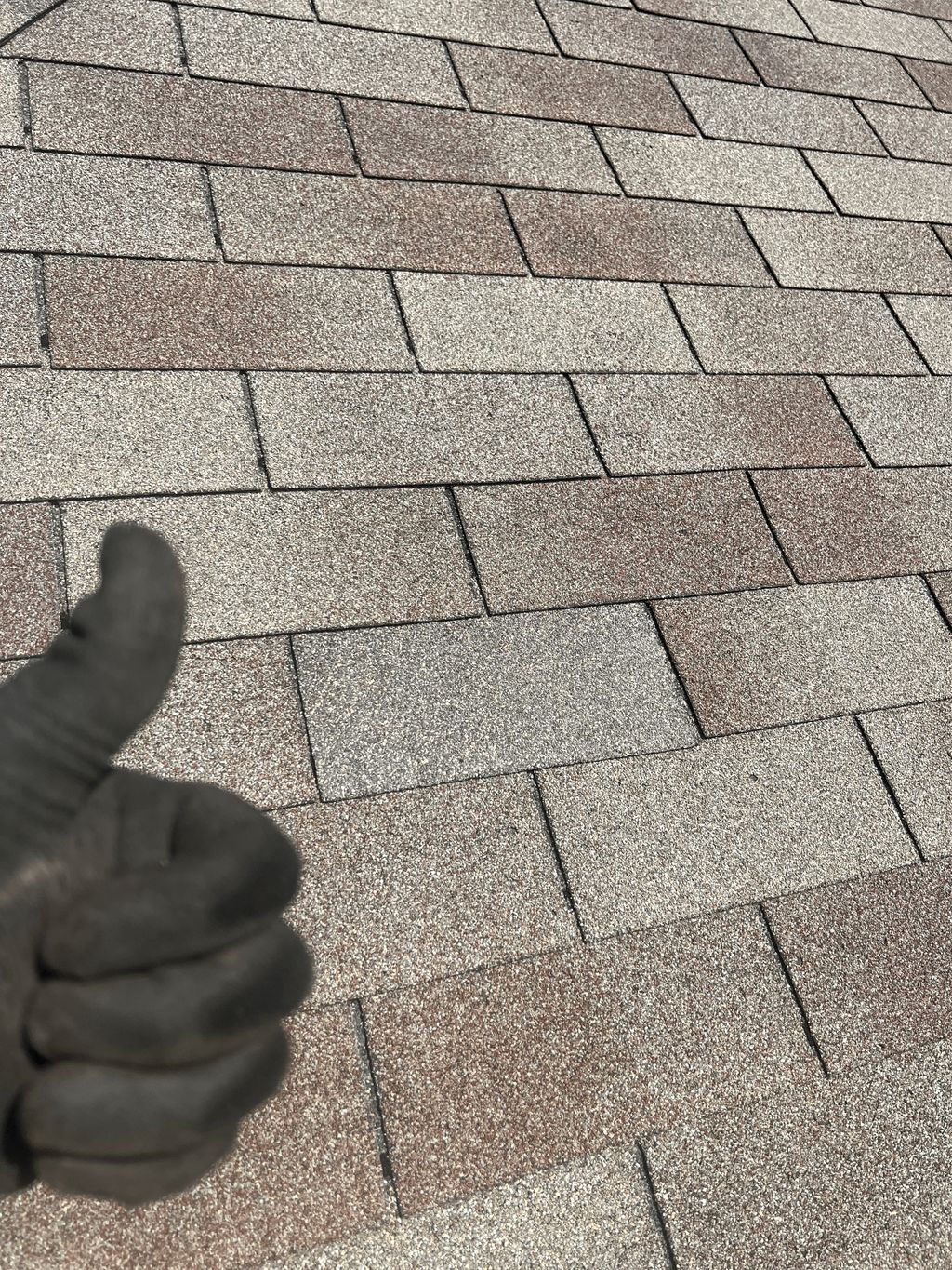 Same day shingle Repairs
