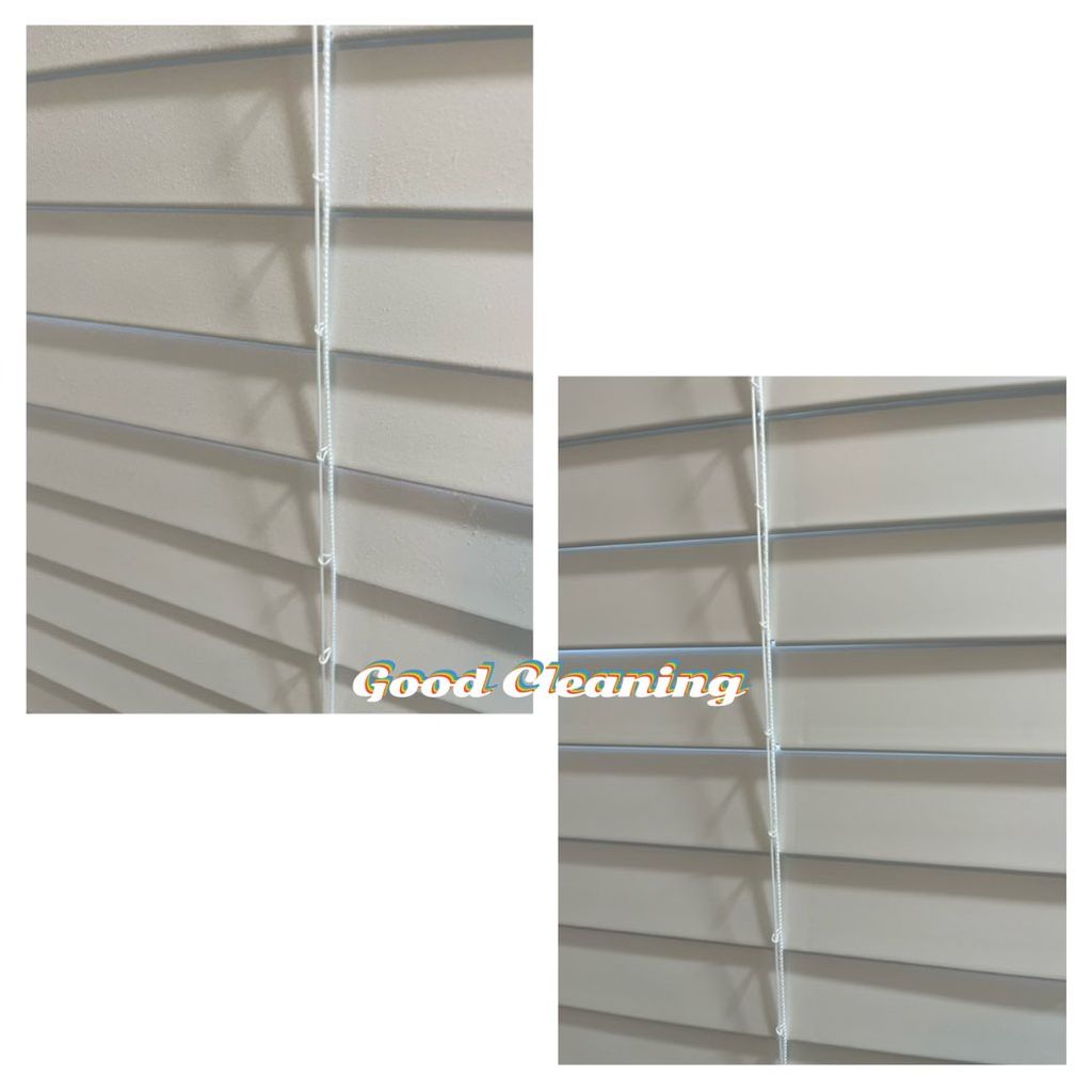 clean blinds, before they were full of dust