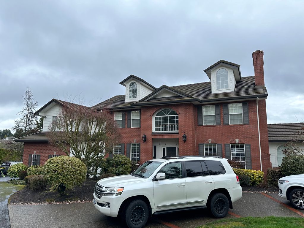 Roof Cleaning