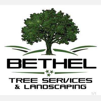 Avatar for Bethel Tree Services & Landscaping