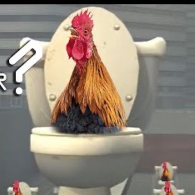 Avatar for Rooster plumbing