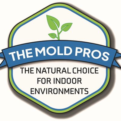 Avatar for The Mold Pros